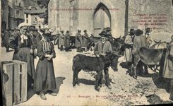 CPA Folklore Auvergne Un coin du marche a Baudits Ane Mule TOP