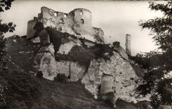 CPM Chateau Gaillard Les Andelys