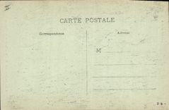 CPA Grotte Grottes de Betharram Colonnes des palmiers