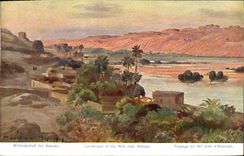 CPA Egypte Egypt Paysage du Nil pres d'Assouan 