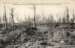 CPA Militaria Environs de Verdun Le Rois des Caures aprement dispute par le Colonel Driant et ses Ch