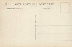 CPA Egypte Egypt Palmiers pres des Pyramides 