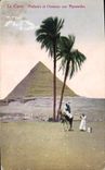 CPA Egypte Egypt Le Caire Palmiers et chameau aux Pyramides 