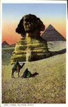 CPA Egypte Egypt Cairo The Great sphinx 