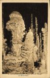 CPA Grotte Grottes L'Aven Armand Dans la Foret vierge Le chou fleur