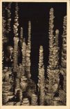 CPA Grotte Grottes Aven Armand Dans la Foret Vierge