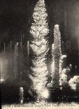 CPA Grotte Grottes L'Aven Armand Dans la foret vierge Le palmier