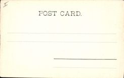 CPA Egypt Egypte  L'avenue de Pyramides de Guiseh