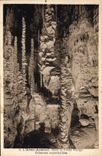 CPA Grotte Grottes L'Aven Armand Dans la foret vierge Colonnes encorbellees