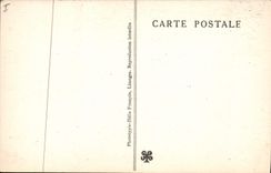 CPA Grotte Grottes de Betharram Colonne des palmiers