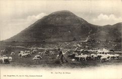 CPA Folklore Le Puy de Dome Berger Moutons
