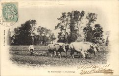 CPA Folklore En Bourbonnais Le labourage 