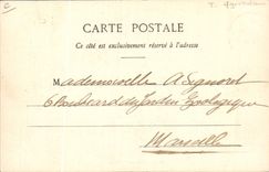 CPA Folklore En Bourbonnais Le labourage 