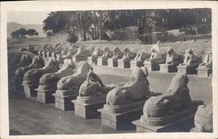 CPA Egypt Egypte Egypt 