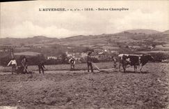 CPA Folklore L'Auvergne Scene Champetre Labour