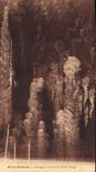 CPA Aven Armand Passage a travers la Foret Vierge 