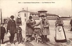 CPA Folklore Les Scenes Champetres la Patohe du Veau TOP 