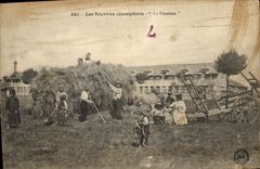 CPA Folklore Les travaux champetres la Fenaison 