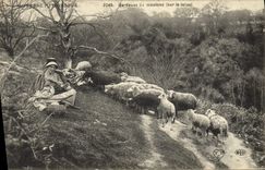 CPA Folklore Auvergne Pittoresque gardeuse de Moutons sur le talus 