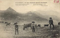 CPA Folklore En Auvergne une vacherie dans la montagne 