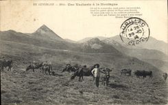 CPA Folklore En Auvergne une vacherie dans le montagne 