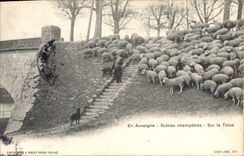 CPA Folklore En Auvergne scenes champetres sur la Talus 