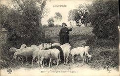 CPA Folklore L'Auvergne Moutons Une bergere et son tropeau 