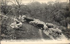 CPA Folklore L'Auvergne Pittoresque.- Gardeuse de Moutons ( sur le talus)