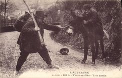 CPA Folklore L'AUVERGNE - 1031 - Trois entêtés Trois darus Ane Mule