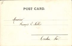 CPA Egypte Egypt Bors du Nil et Palmiers