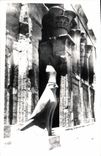 CPA Egypt Egypte Edfou Statue Horus the God of the Temple 