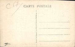 CPA Strasbourg A l'Orangerie Gansebesel 