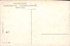 CPA A Mauve Brebis dans les dunes 