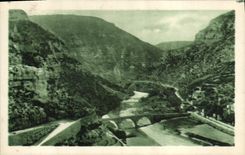 CPA Gorges du Tarn La Malene Derniers lacets de la route du Causse 
