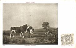 CPA Brascassat Paysage et Animaux 