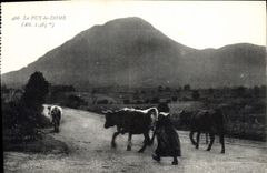 CPA Le Puy de Dome Vache