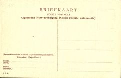CPA Rijks Museum Amsterdam Jan Steen De zieke dame La Malade 