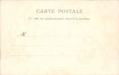 CPA Paris Arc de Triomphe du Carrousel 