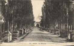 CPA Arles Les Aliscamps 