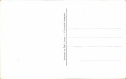 CPA Fantaisie Fleurs