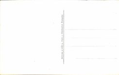 CPA Fantaisie Fleurs