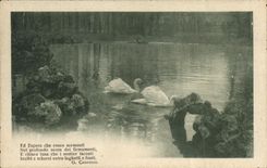 CPA Ed Espero che roseo sormonti Nel Profondo seren dei Firmamenti 