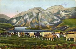 CPA Les Pyrenees Troupeau Descendant des hauts Paturages 