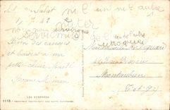 CPA Les Pyrenees Troupeau Descendant des hauts Paturages 