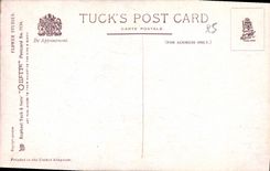 CPA Fantaisie Fleurs