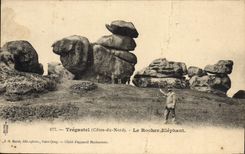 CPA Tregastel Cotes du Nord Le Rocher Elephant 