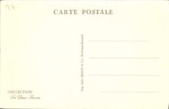 CPA Chamonix Savoy Palace 