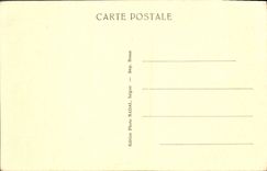 CPA Buffle Domestique 