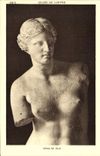 CPA Musee du Louvre Venus de Nilo 