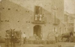 CARTE PHOTO Ferme Attelage Ane Mule
